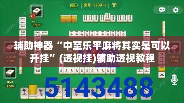 辅助神器“中至乐平麻将其实是可以开挂”(透视挂)辅助透视教程