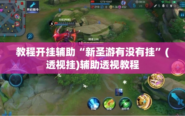 玩家辅助神器“超稳大厅确实真的有挂”开挂辅助脚本+详细开挂安装教程