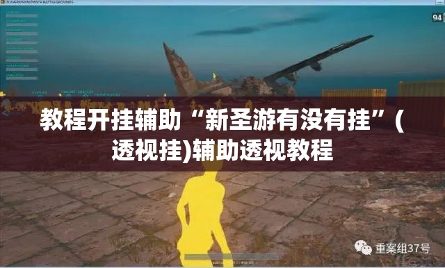 教程开挂辅助“新圣游有没有挂”(透视挂)辅助透视教程