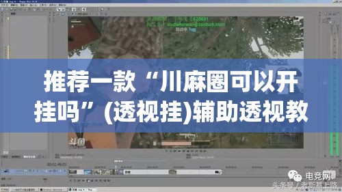推荐一款“川麻圈可以开挂吗”(透视挂)辅助透视教程