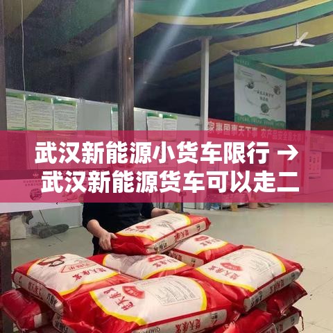 武汉新能源小货车限行 → 武汉新能源货车可以走二环吗