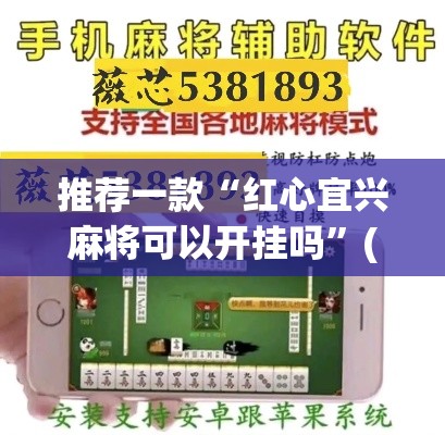 推荐一款“红心宜兴麻将可以开挂吗”(透视挂)辅助透视教程