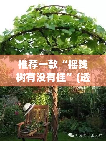 推荐一款“摇钱树有没有挂	”(透视挂)辅助透视教程