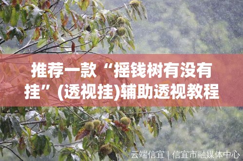 推荐一款“摇钱树有没有挂”(透视挂)辅助透视教程