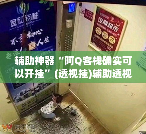 辅助神器“阿Q客栈确实可以开挂”(透视挂)辅助透视教程