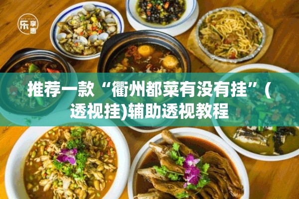 推荐一款“衢州都菜有没有挂”(透视挂)辅助透视教程
