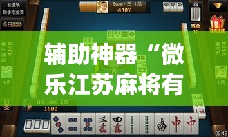 辅助神器“微乐江苏麻将有挂能查出来吗”(透视挂)辅助透视教程