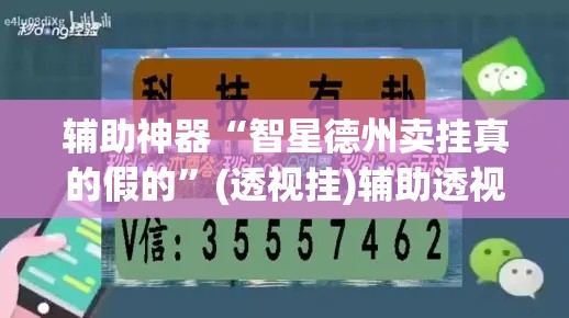 辅助神器“智星德州卖挂真的假的”(透视挂)辅助透视教程