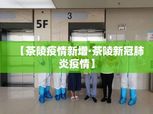 【茶陵疫情新增·茶陵新冠肺炎疫情】 【茶陵疫情新增·茶陵新冠肺炎疫情】