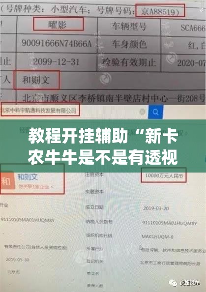 教程开挂辅助“新卡农牛牛是不是有透视挂”(透视挂)辅助透视教程