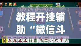 教程开挂辅助“微信斗地主小程序透视	”(透视挂)辅助透视教程