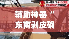 辅助神器“东南剥皮确实真的有挂”(透视挂)辅助透视教程