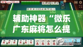 辅助神器“微乐广东麻将怎么提高胜率	”(透视挂)辅助透视教程