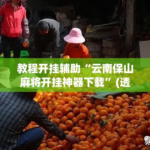 教程开挂辅助“云南保山麻将开挂神器下载	”(透视挂)辅助透视教程