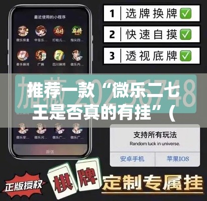 推荐一款“微乐二七王是否真的有挂”(透视挂)辅助透视教程