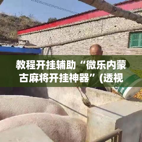 教程开挂辅助“微乐内蒙古麻将开挂神器”(透视挂)辅助透视教程
