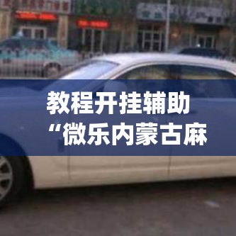 教程开挂辅助“微乐内蒙古麻将开挂神器”(透视挂)辅助透视教程