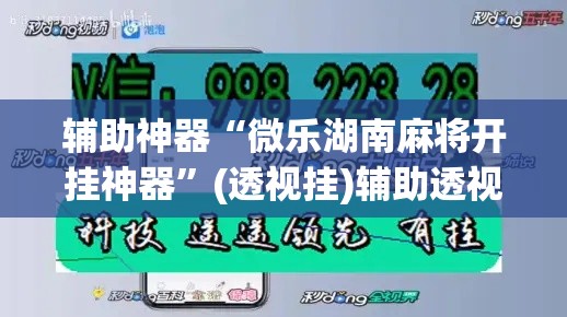 辅助神器“微乐湖南麻将开挂神器”(透视挂)辅助透视教程