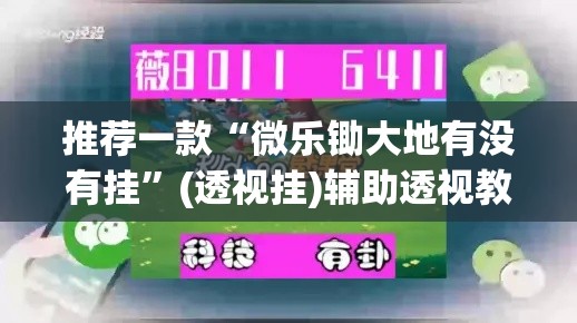 推荐一款“微乐锄大地有没有挂”(透视挂)辅助透视教程