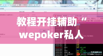 教程开挂辅助“wepoker私人局透视 ”(透视挂)辅助透视教程