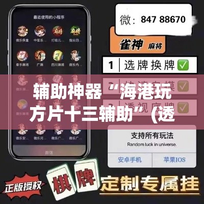 辅助神器“海港玩方片十三辅助”(透视挂)辅助透视教程