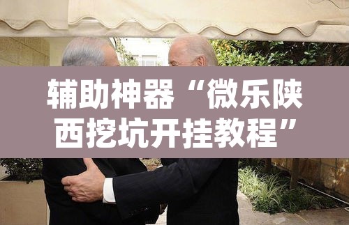辅助神器“微乐陕西挖坑开挂教程”(透视挂)辅助透视教程