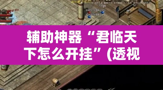辅助神器“君临天下怎么开挂”(透视挂)辅助透视教程