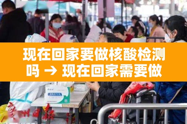 现在回家要做核酸检测吗 → 现在回家需要做核酸检测报告吗