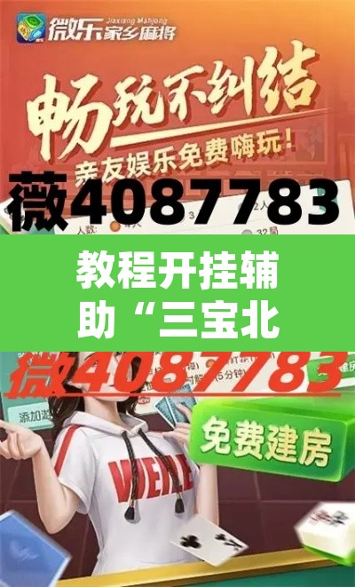 教程开挂辅助“三宝北京麻将可以透明吗”(透视挂)辅助透视教程