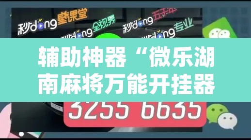 辅助神器“微乐湖南麻将万能开挂器通用版”(透视挂)辅助透视教程