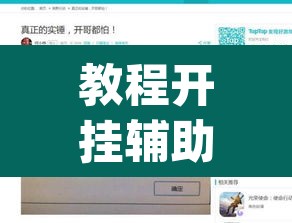 教程开挂辅助“博乐龙江填大坑免费透视软件下载”(透视挂)辅助透视教程