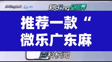 推荐一款“微乐广东麻将万能开挂器”(透视挂)辅助透视教程