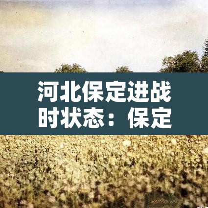 河北保定进战时状态：保定战时状态会封城吗