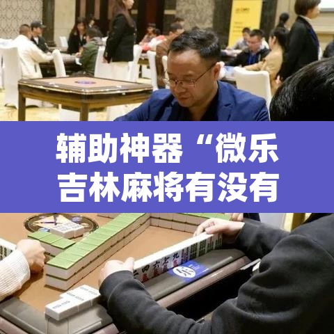 辅助神器“微乐吉林麻将有没有挂”(透视挂)辅助透视教程