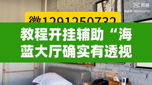 教程开挂辅助“海蓝大厅确实有透视挂”(透视挂)辅助透视教程
