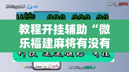 教程开挂辅助“微乐福建麻将有没有挂	”(透视挂)辅助透视教程