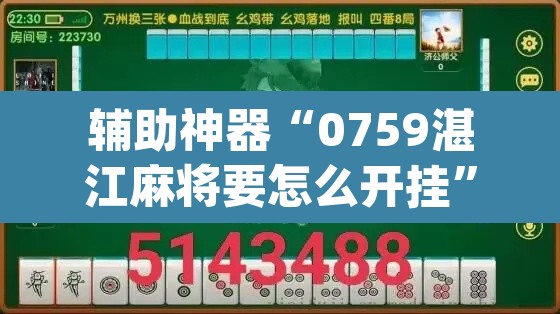 辅助神器“0759湛江麻将要怎么开挂	”(透视挂)辅助透视教程