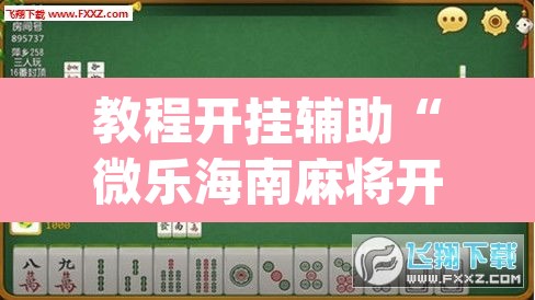 教程开挂辅助“微乐海南麻将开挂神器”(透视挂)辅助透视教程