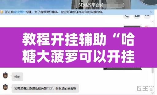 教程开挂辅助“哈糖大菠萝可以开挂”(透视挂)辅助透视教程