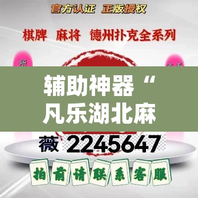 辅助神器“凡乐湖北麻将有没有挂”(透视挂)辅助透视教程