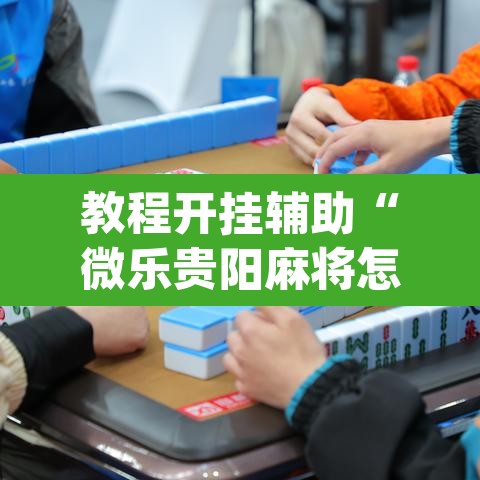 教程开挂辅助“微乐贵阳麻将怎么开挂”(透视挂)辅助透视教程