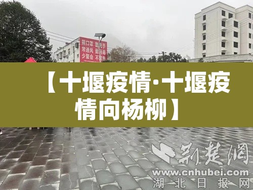 【十堰疫情·十堰疫情向杨柳】
