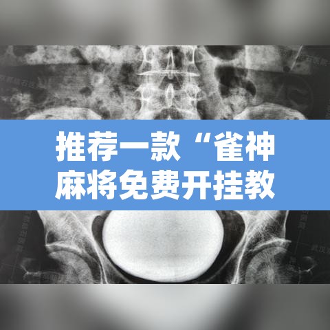 推荐一款“雀神麻将免费开挂教程”(透视挂)辅助透视教程