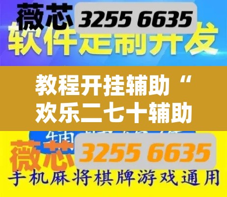 教程开挂辅助“欢乐二七十辅助工具”(透视挂)辅助透视教程