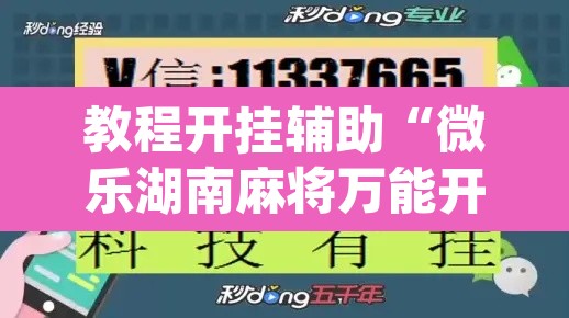 教程开挂辅助“微乐湖南麻将万能开挂器免费	”(透视挂)辅助透视教程