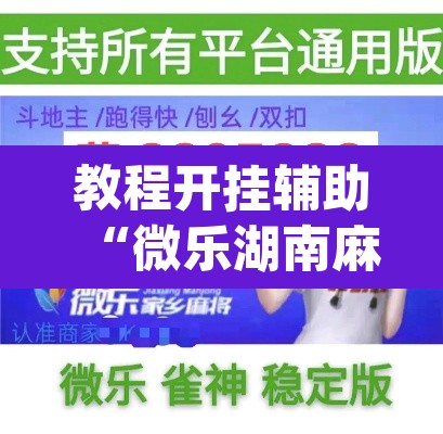 教程开挂辅助“微乐湖南麻将万能开挂器免费”(透视挂)辅助透视教程