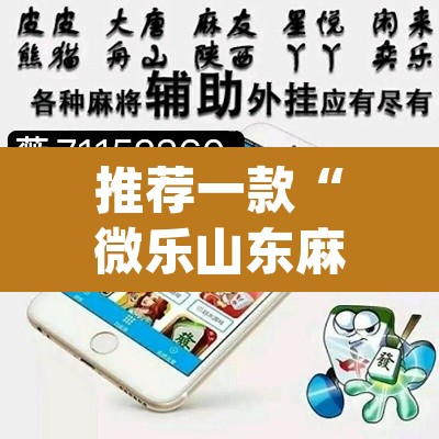 推荐一款“微乐山东麻将开挂免费下载安装”(透视挂)辅助透视教程