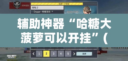 辅助神器“哈糖大菠萝可以开挂”(透视挂)辅助透视教程