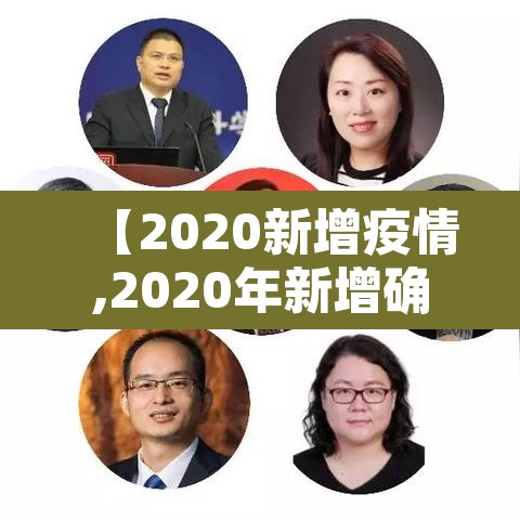 【2020新增疫情,2020年新增确诊病例】