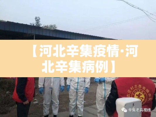 【河北辛集疫情·河北辛集病例】 【河北辛集疫情·河北辛集病例】